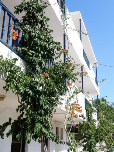 Aparthotel Bay Watch à Karpathos Extérieur photo